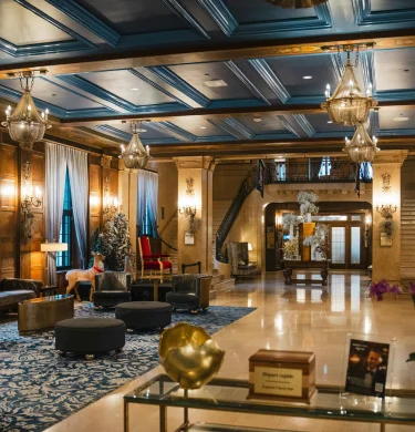 Stable Internet Solutions for Hotels to Support Operations and Guest Experience